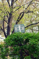  Downtown Fort Collins, CO
