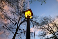  Downtown Fort Collins, CO