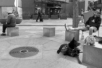  16th Street Mall, Denver, CO