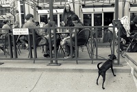  16th Street Mall, Denver, CO