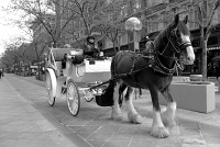  16th Street Mall, Denver, CO