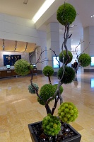 Hyatt Regency, Denver, CO