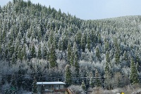  Mount Evans Scenic Byway
