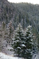  Mount Evans Scenic Byway
