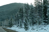  Mount Evans Scenic Byway