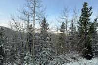  Mount Evans Scenic Byway