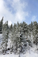  Mount Evans Scenic Byway