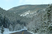 Mount Evans Scenic Byway