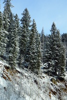  Mount Evans Scenic Byway