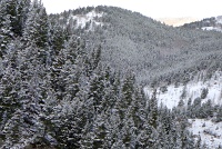 Mount Evans Scenic Byway