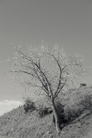  Red Rocks Park