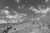  Red Rocks Park