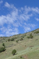  Red Rocks Park
