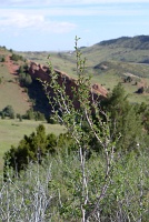  Red Rocks Park