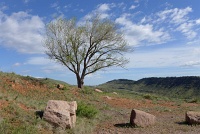  Red Rocks Park