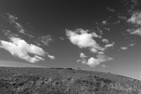  Clement Park, Littleton, CO