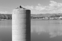  Johnson Reservoir, Littleton, CO