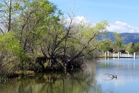  Johnson Reservoir, Littleton, CO