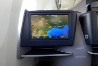  United 787-8 Dreamliner