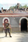 IMG_2505.JPG