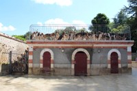 IMG_2514.JPG