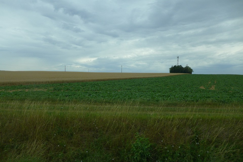 P1130987