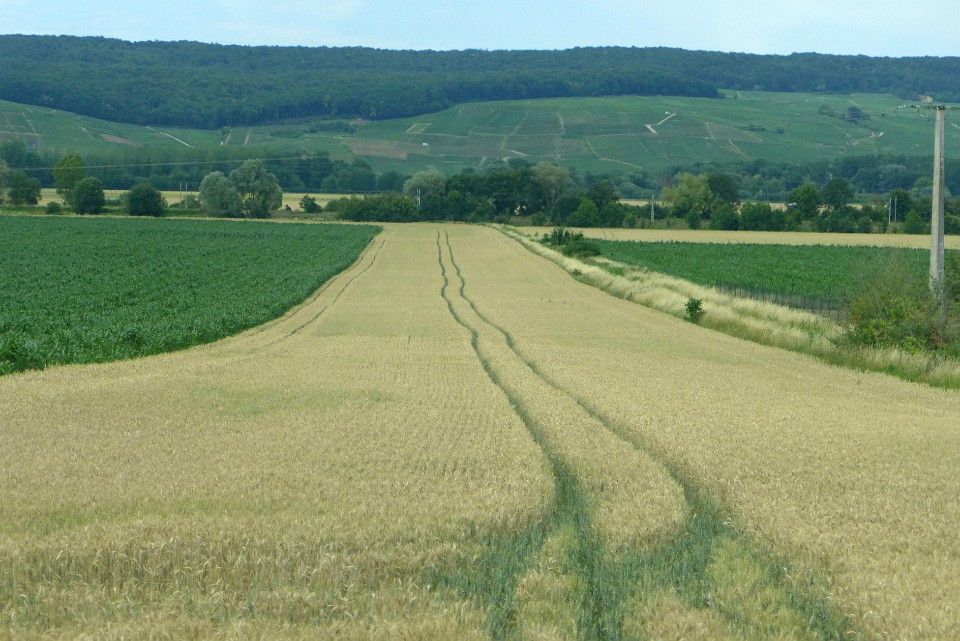 P1140085