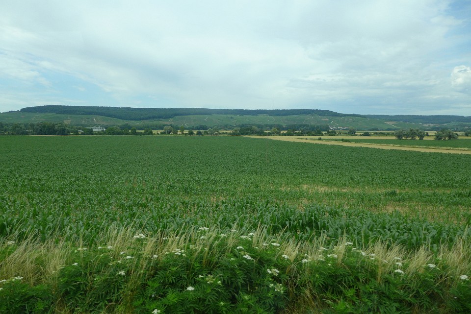 P1140087