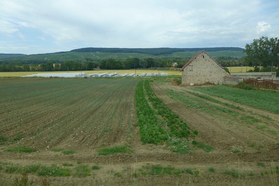 P1140092