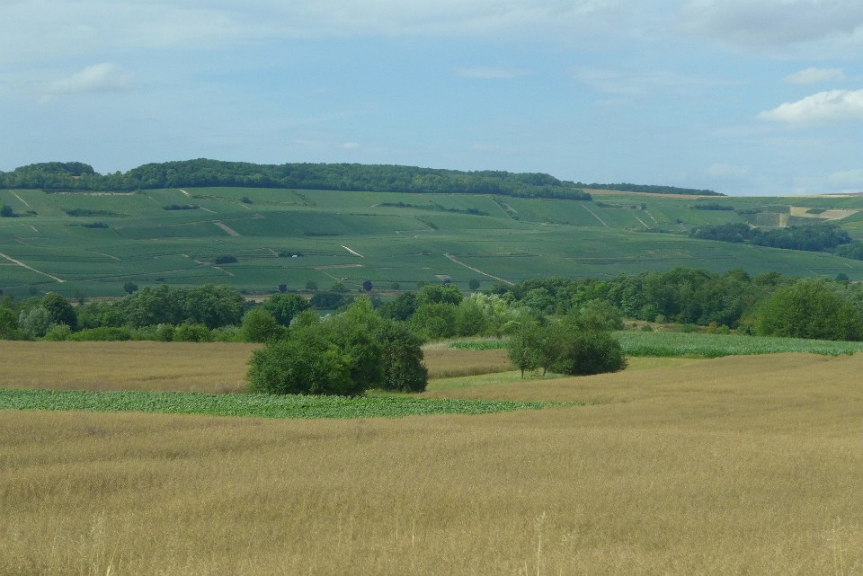 P1140127
