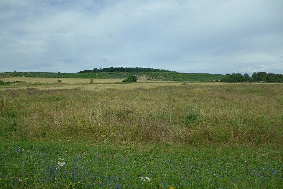 P1140159