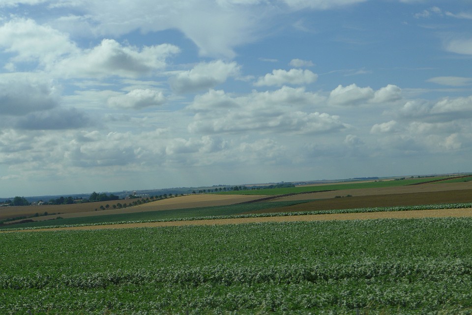 P1140184