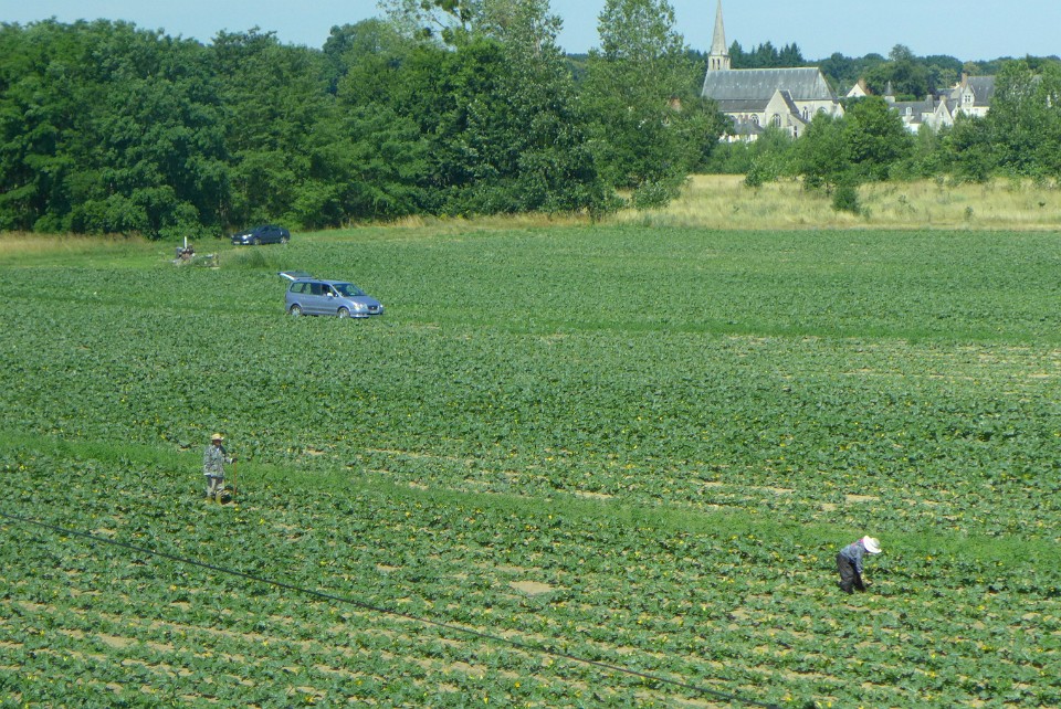 P1130556