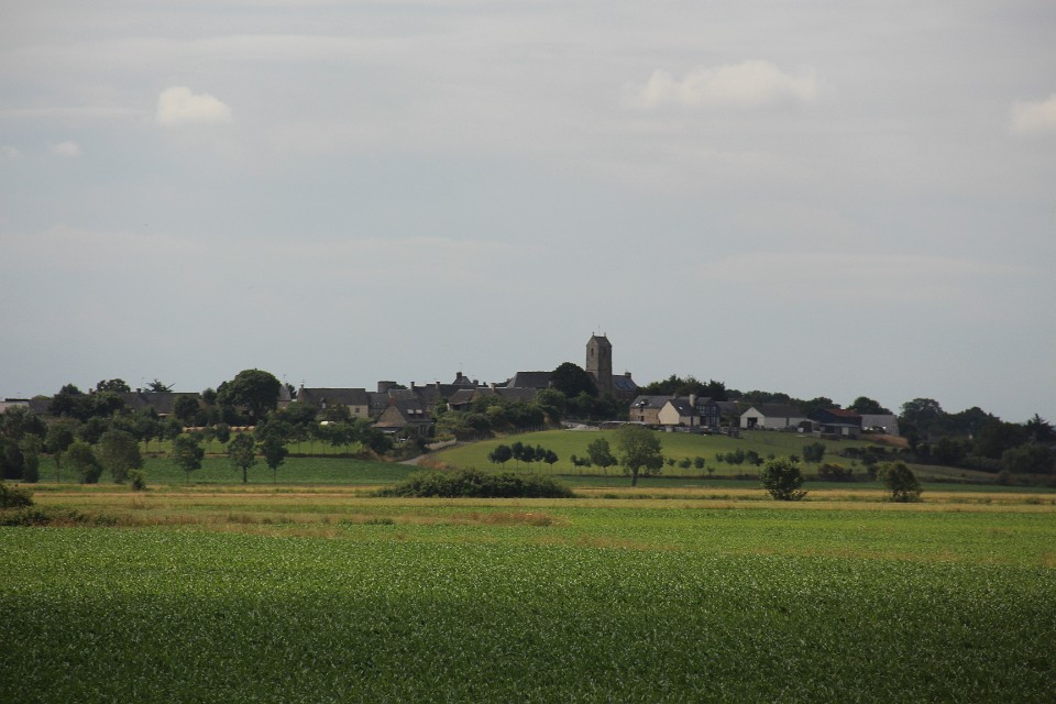 IMG 9601