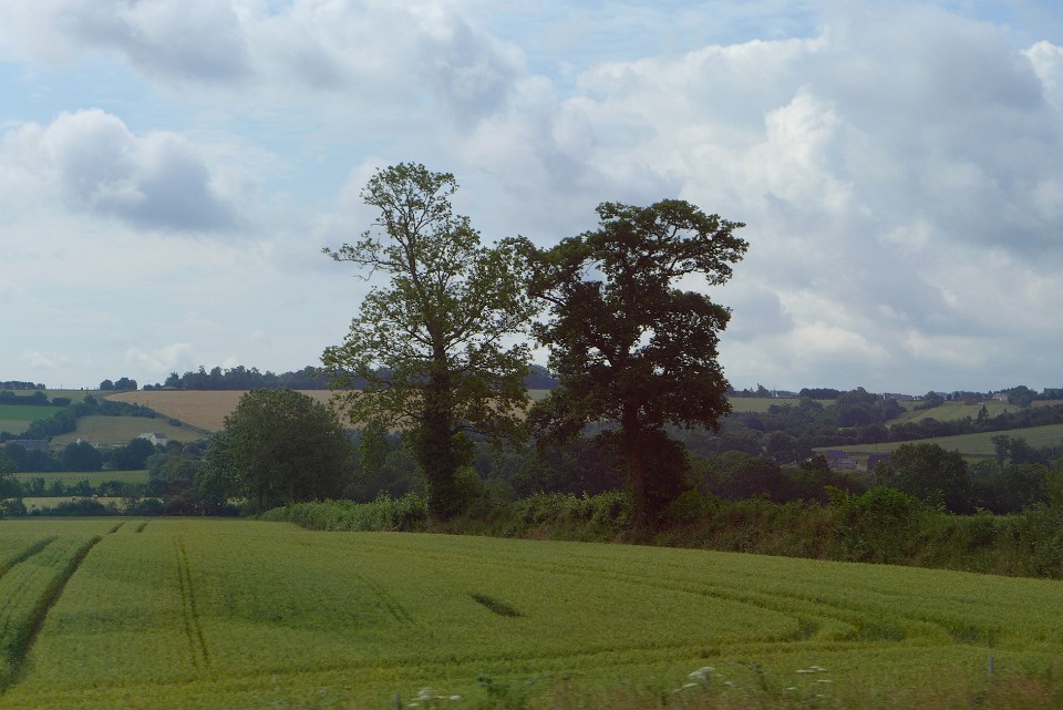 P1120978