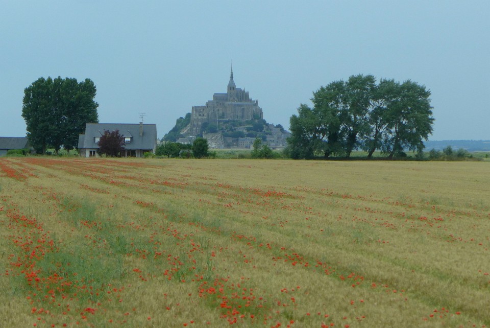 P1130053