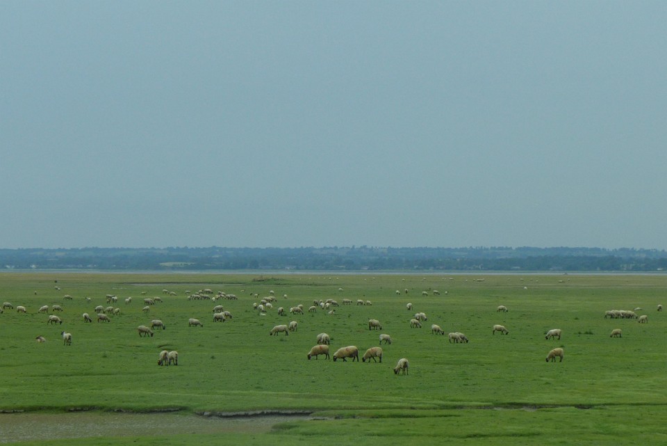 P1130066