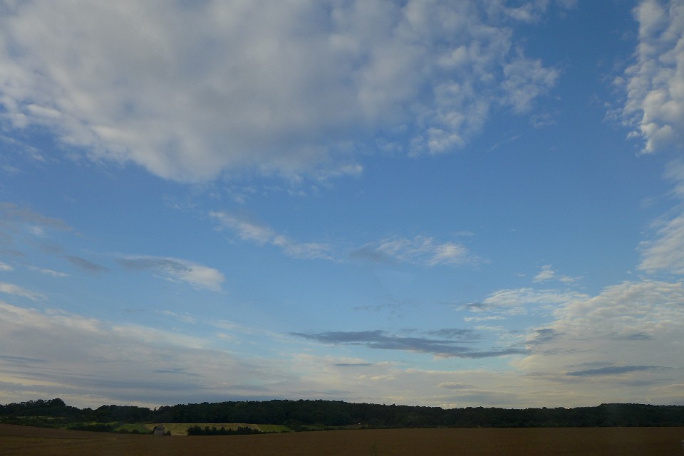 P1130230