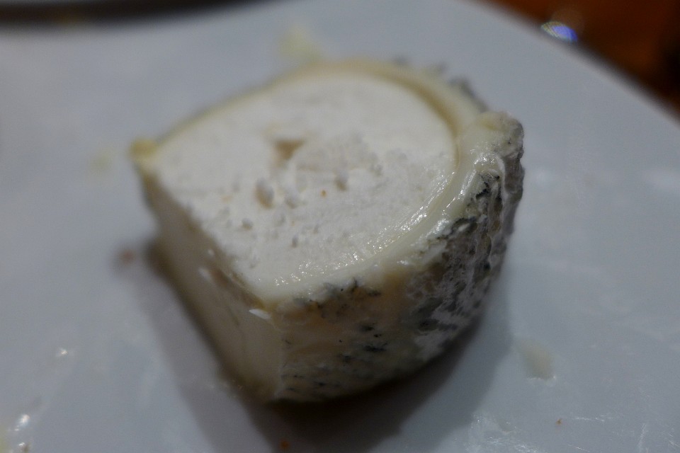 P1130838