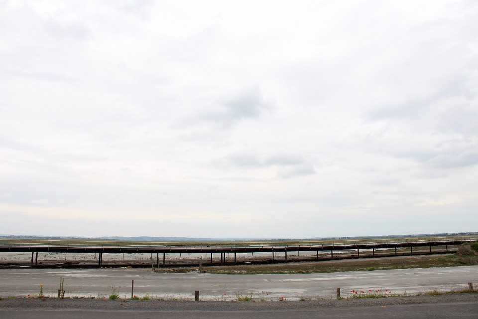 IMG 0098