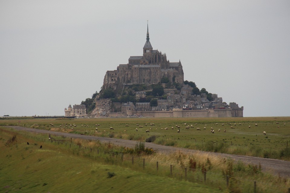 IMG 0225