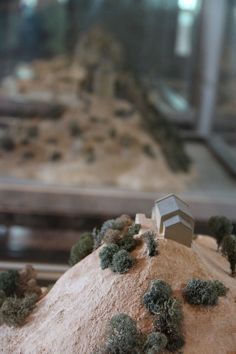 IMG 9719