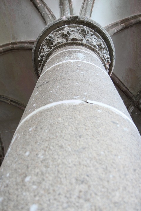 IMG 9913