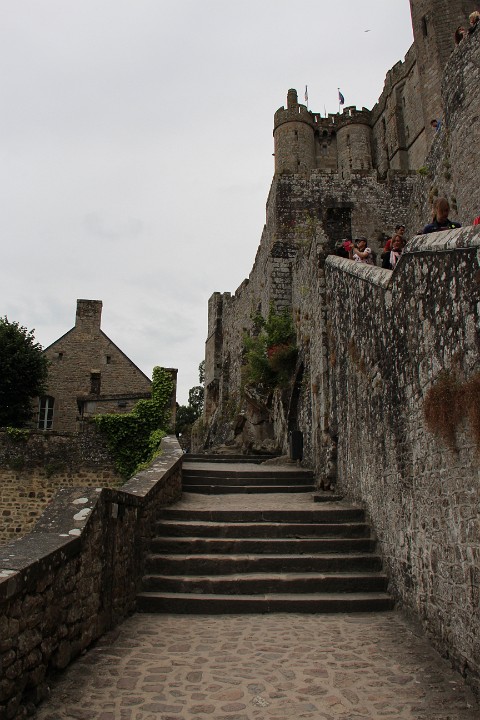 IMG 9955