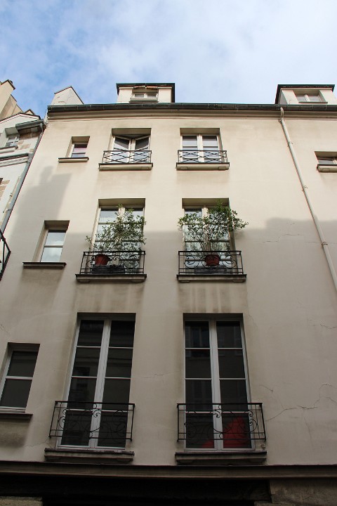 IMG 0500
