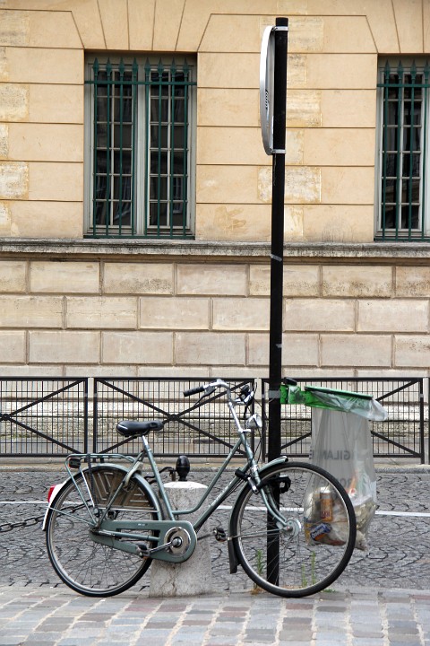 IMG 0539