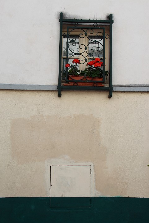 IMG 2787