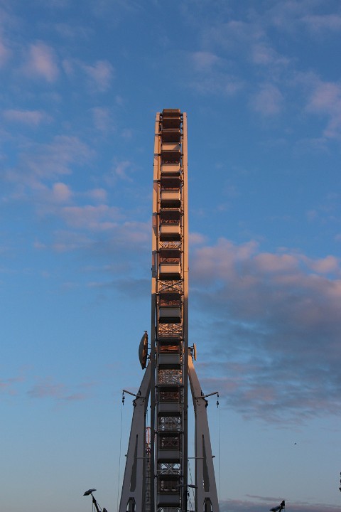 IMG 9449