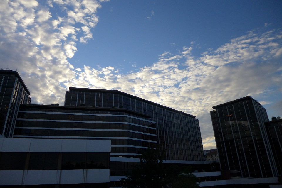 P1130233