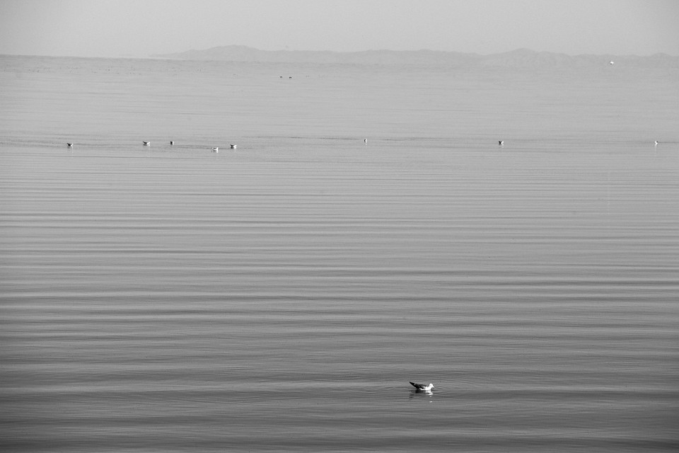 IMG 8939